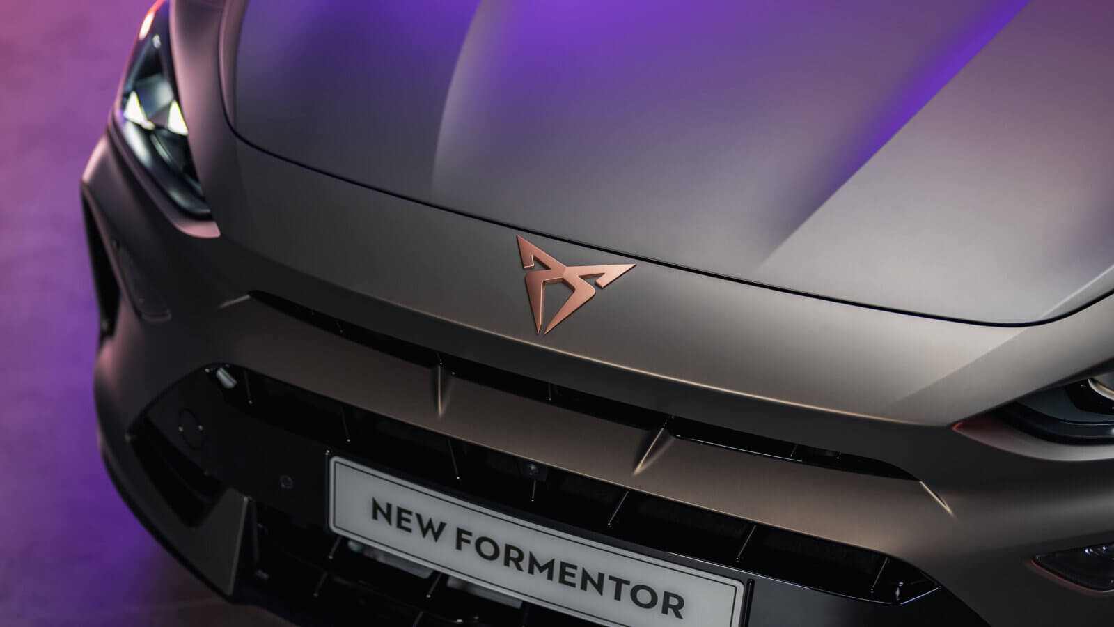 diagnostyka silnika Cupra Olsztyn